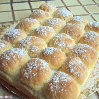 brioche butchy