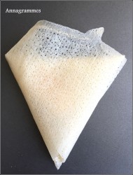 brick chèvre miel