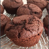 muffins chocolat