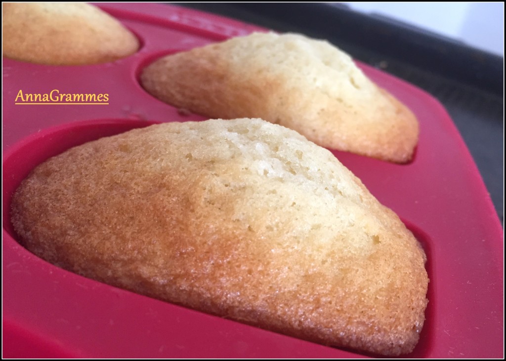 madeleines